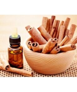 Tinh dầu quế Tiến Thành