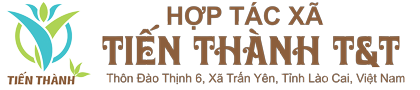 Thảo Mộc Tiến Thành