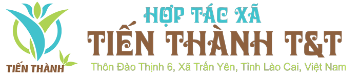 Thảo Mộc Tiến Thành
